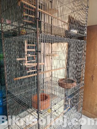 Bird kage